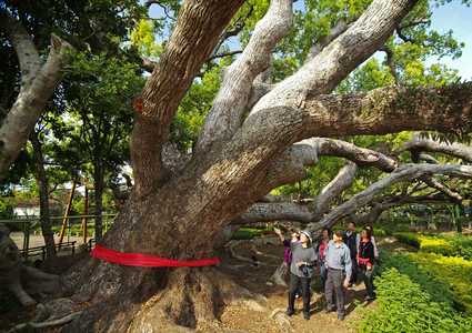 台灣拼圖   台中市