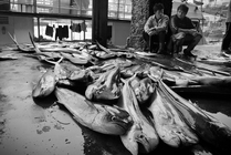 產業與人文組_林芳志_02_歇息