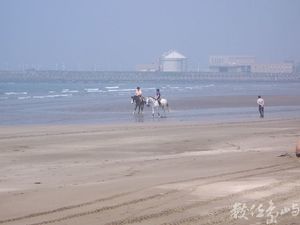 新北市淡水區－騎馬漫步