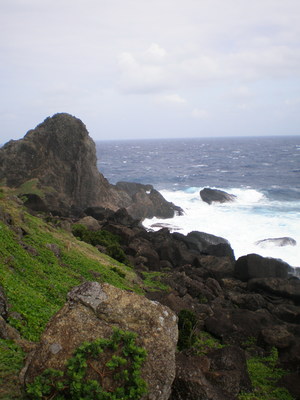 album