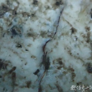 亦樂齋藏玉