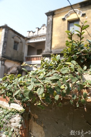 金門之屋系列（金城 洋樓群）