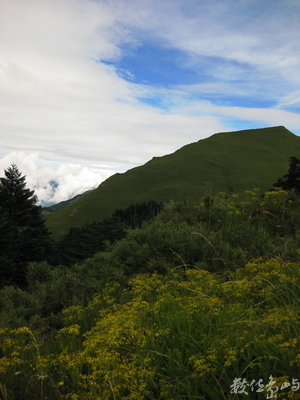 前進石門山頂7