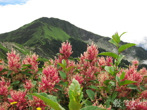 登合歡山主峰2