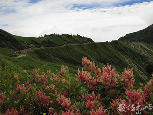 登合歡山主峰1