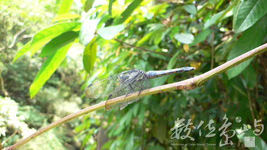 １６：９ 的視界