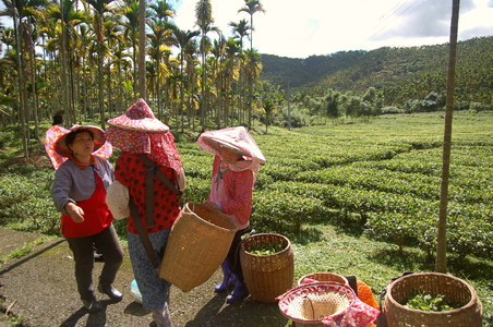 第二屆數位島嶼攝影比賽  晚餐時刻