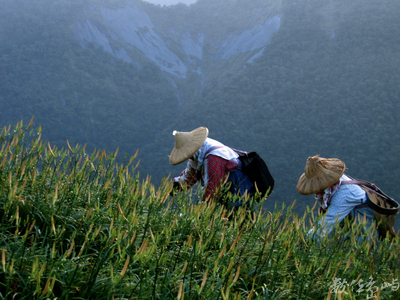 臺灣百岳：山與人