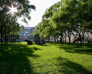 思恩園樹已成群