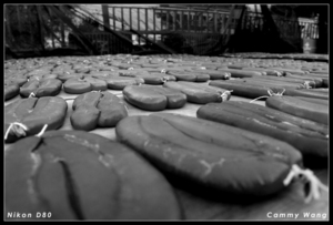 祝我最愛的jojo結婚快樂001