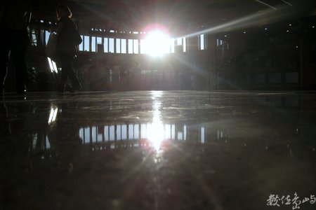 午后綻放的光點