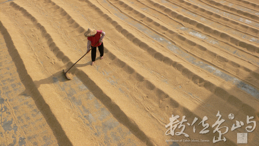 2010 第五屆數位島嶼攝影比賽-勞動之美