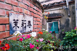 安平茉莉巷
