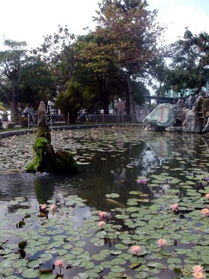 蓮池勝景