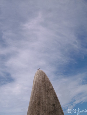 joan的生活的點滴