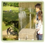 晚餐時間公園的有情世界