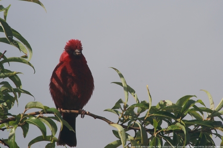 第二屆數位島嶼攝影比賽