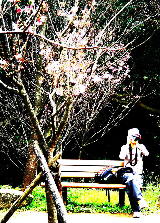 鏡頭中的一隻眼