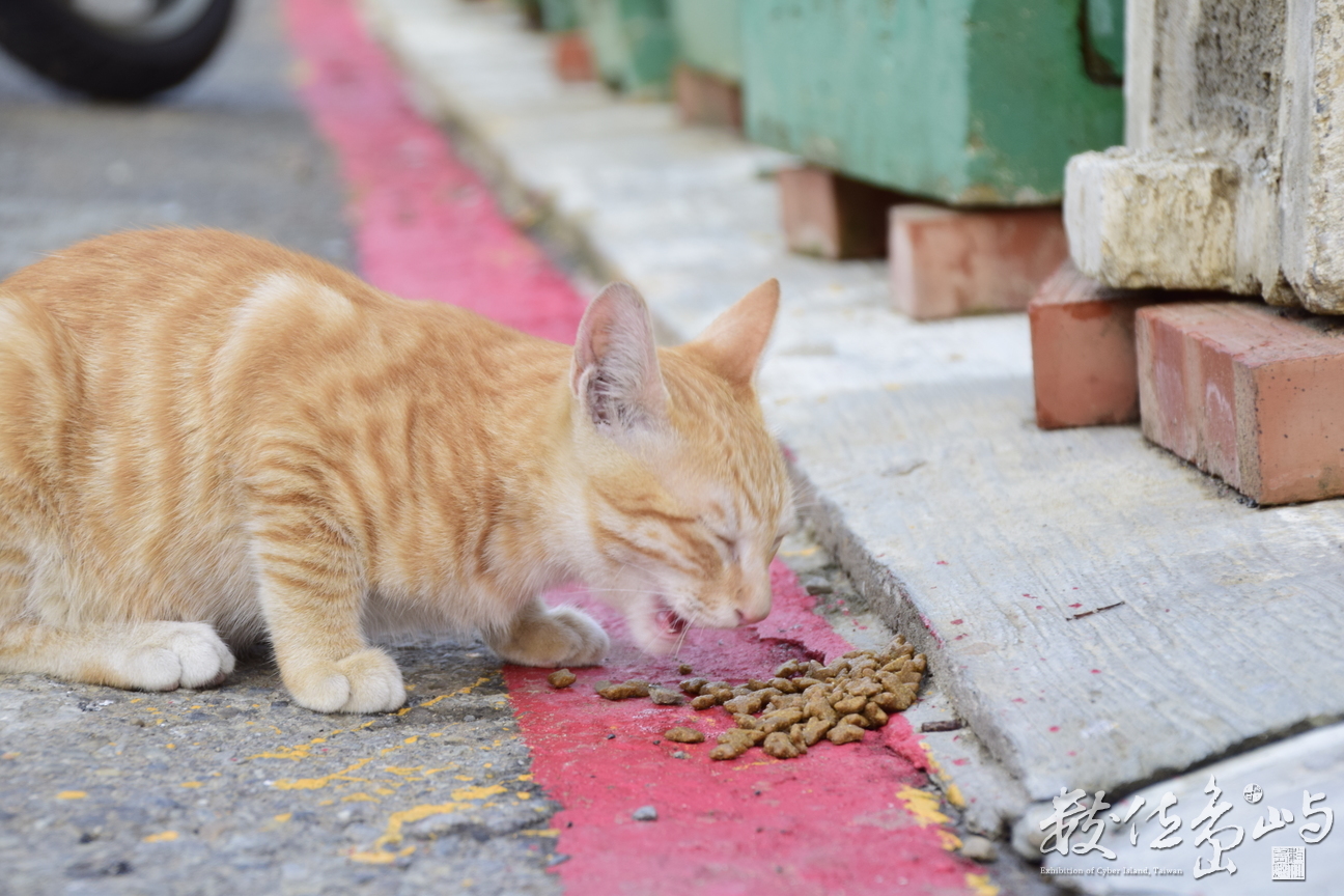 虔誠的飯前禱告