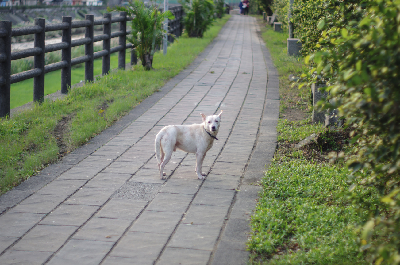 IMGP7171.jpg