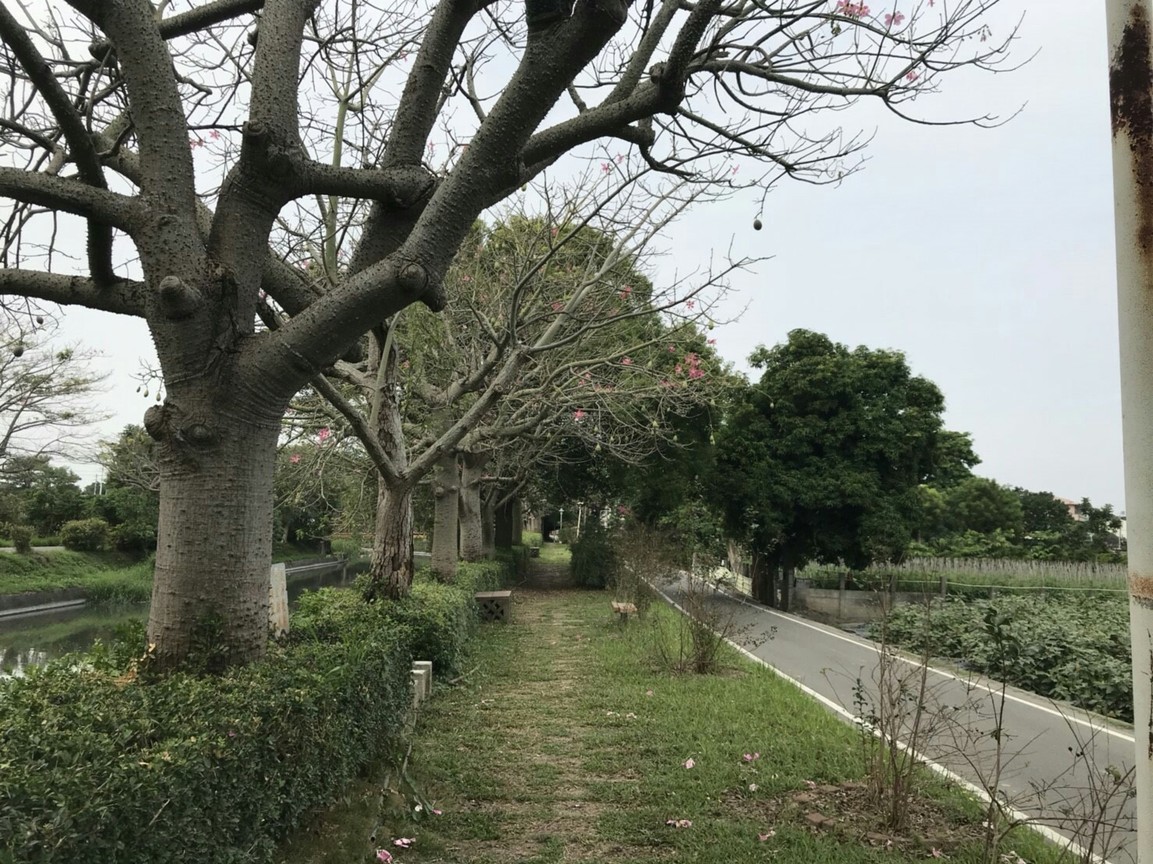 屹立不搖的幸福