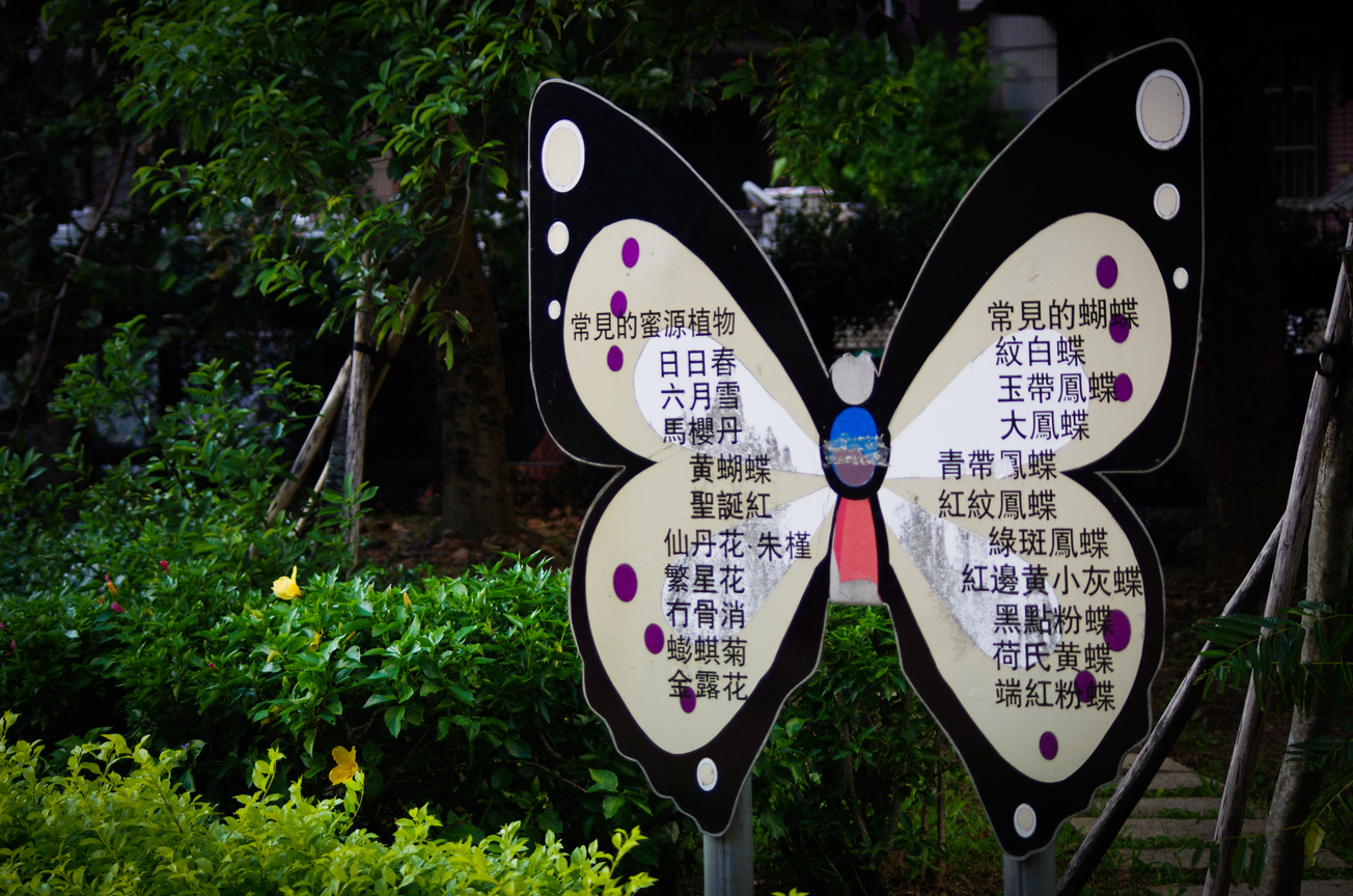 瑞芳國小常見蝴蝶介紹