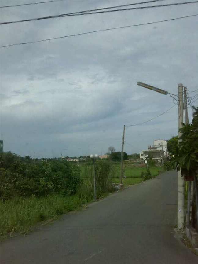 彎曲才是回家的路