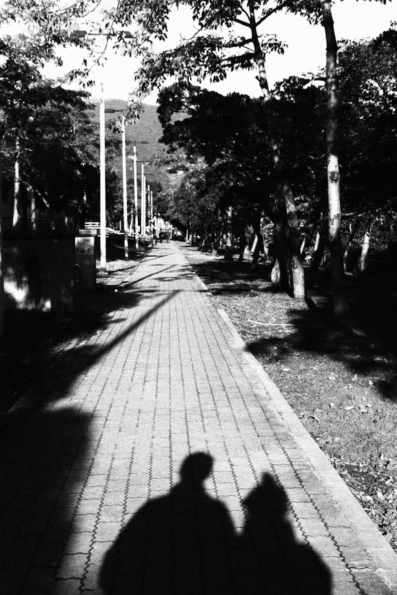 通往醫院的後長廊