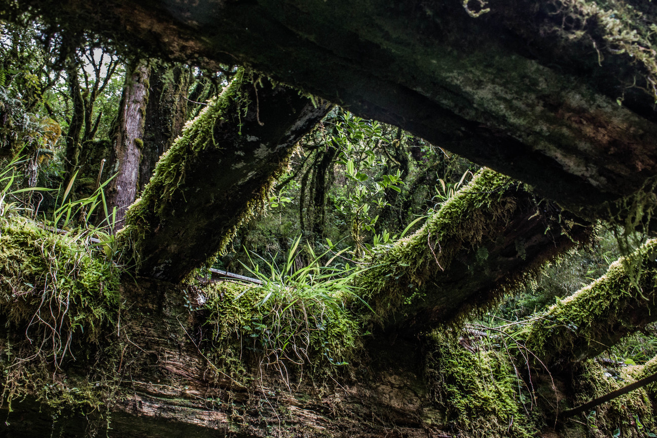 宜蘭 見晴懷古道