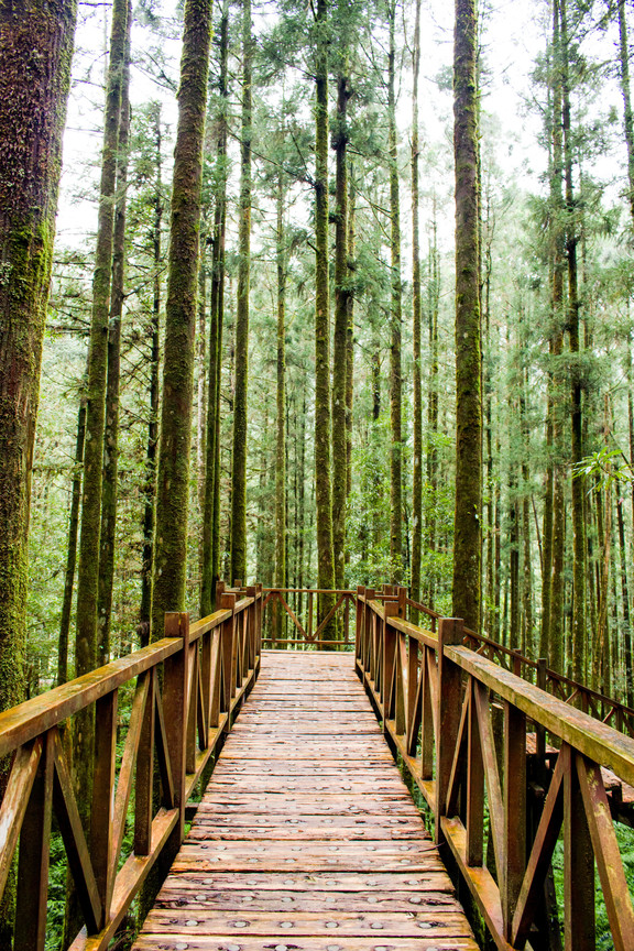 宜蘭 明池森林遊樂園區