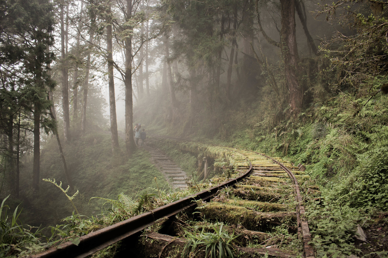 宜蘭 見情懷古道