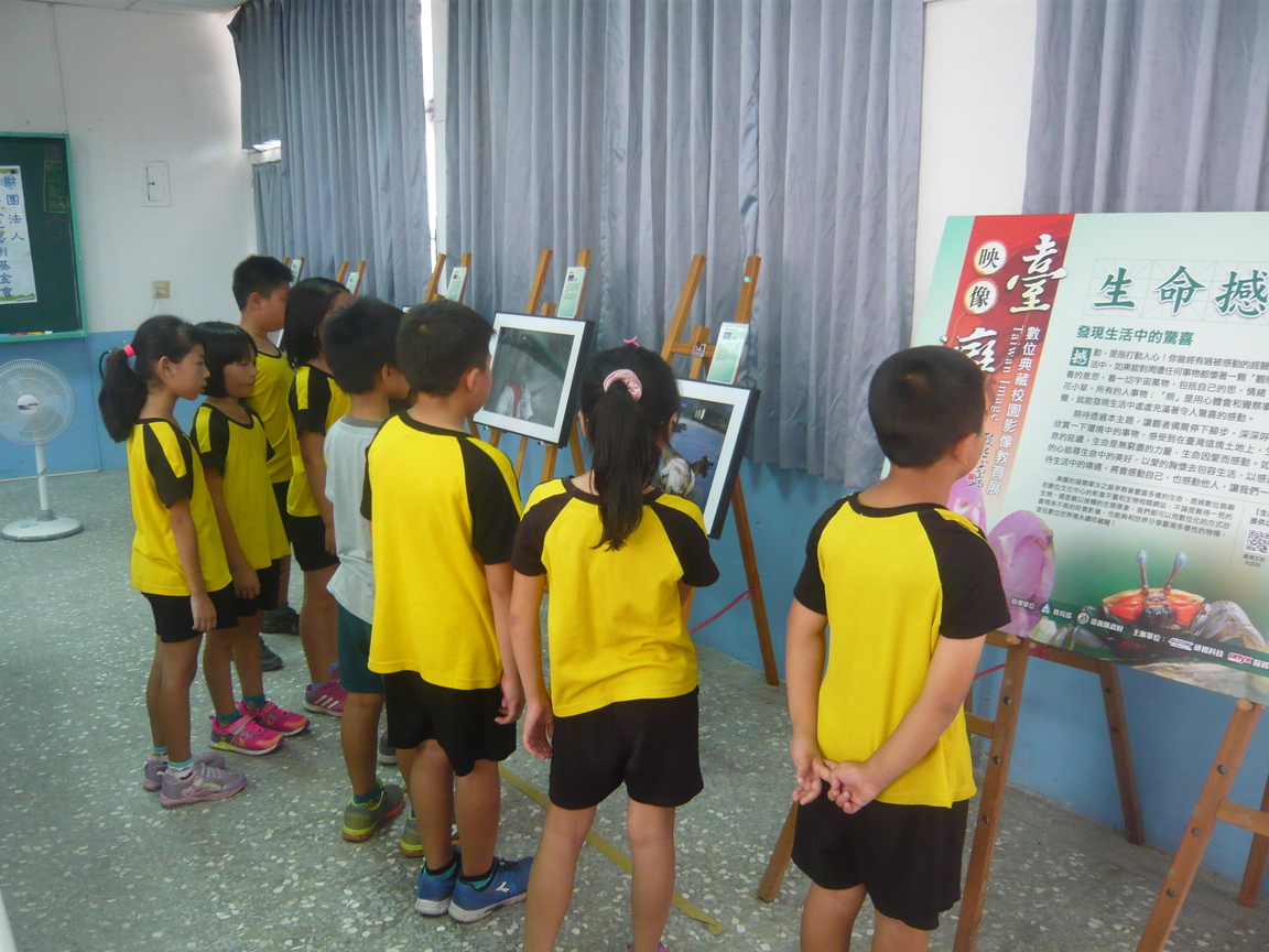 一起觀賞映像台灣系列活動