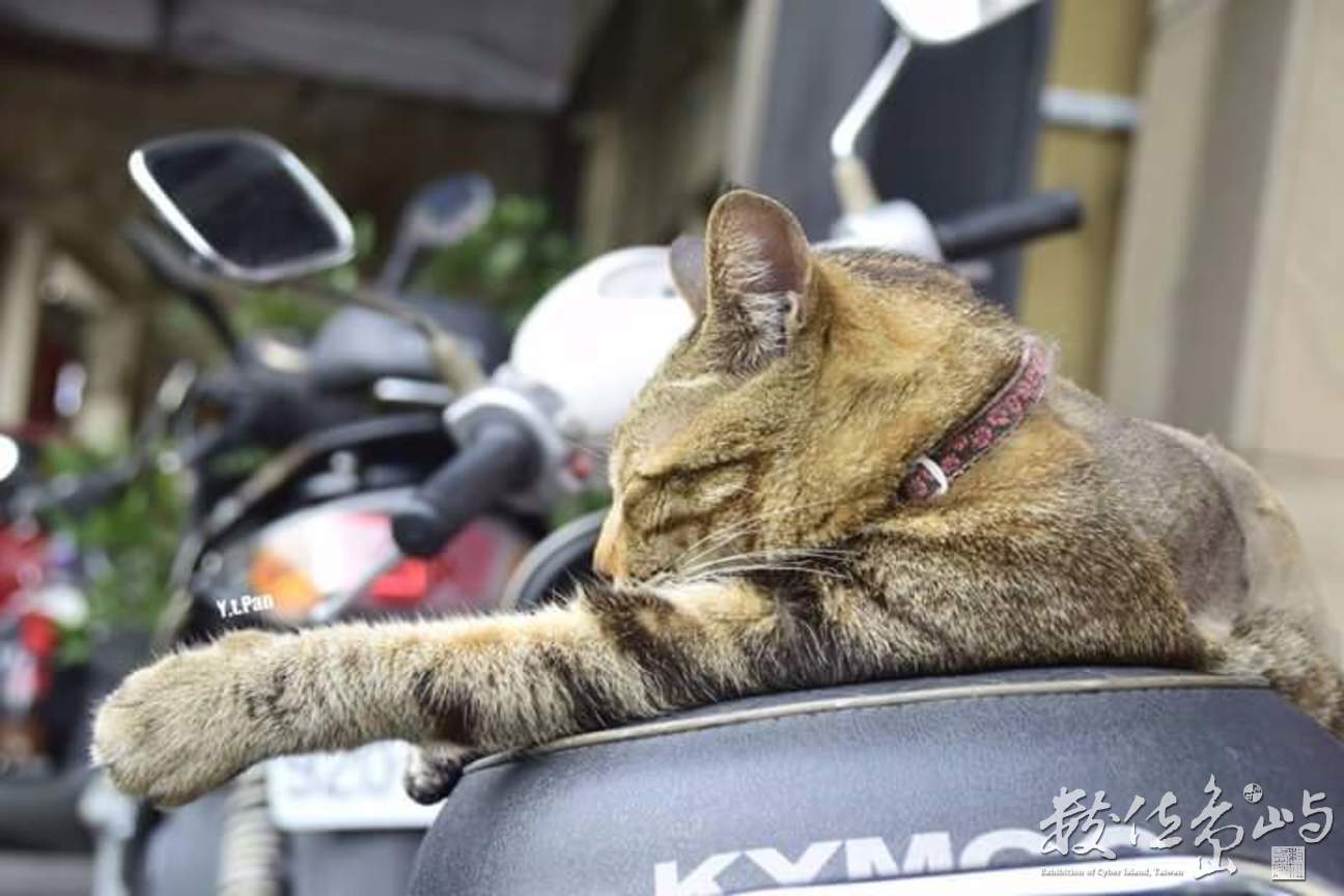 睡在車上的醉漢 怎麼這麼帥1