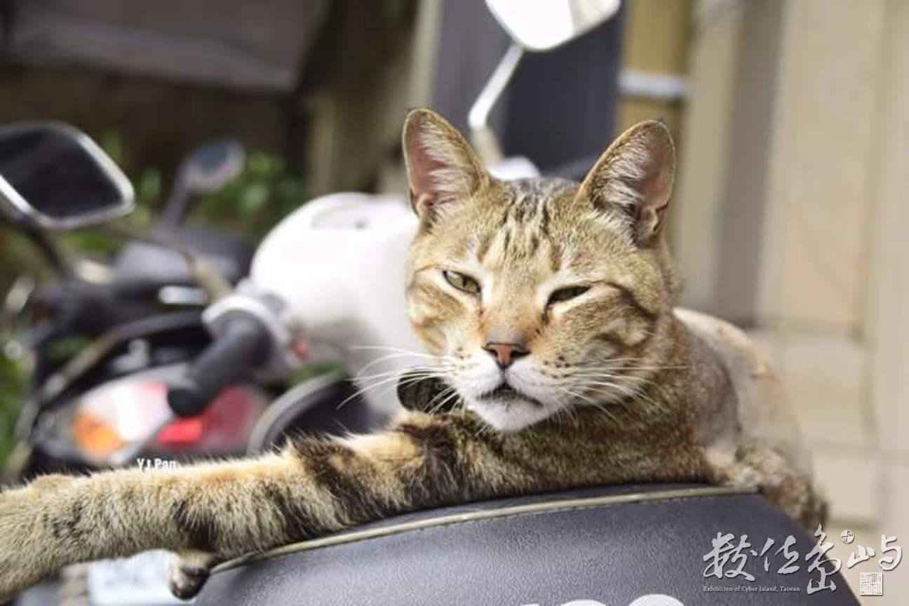 睡在車上的醉漢 怎麼這麼帥2