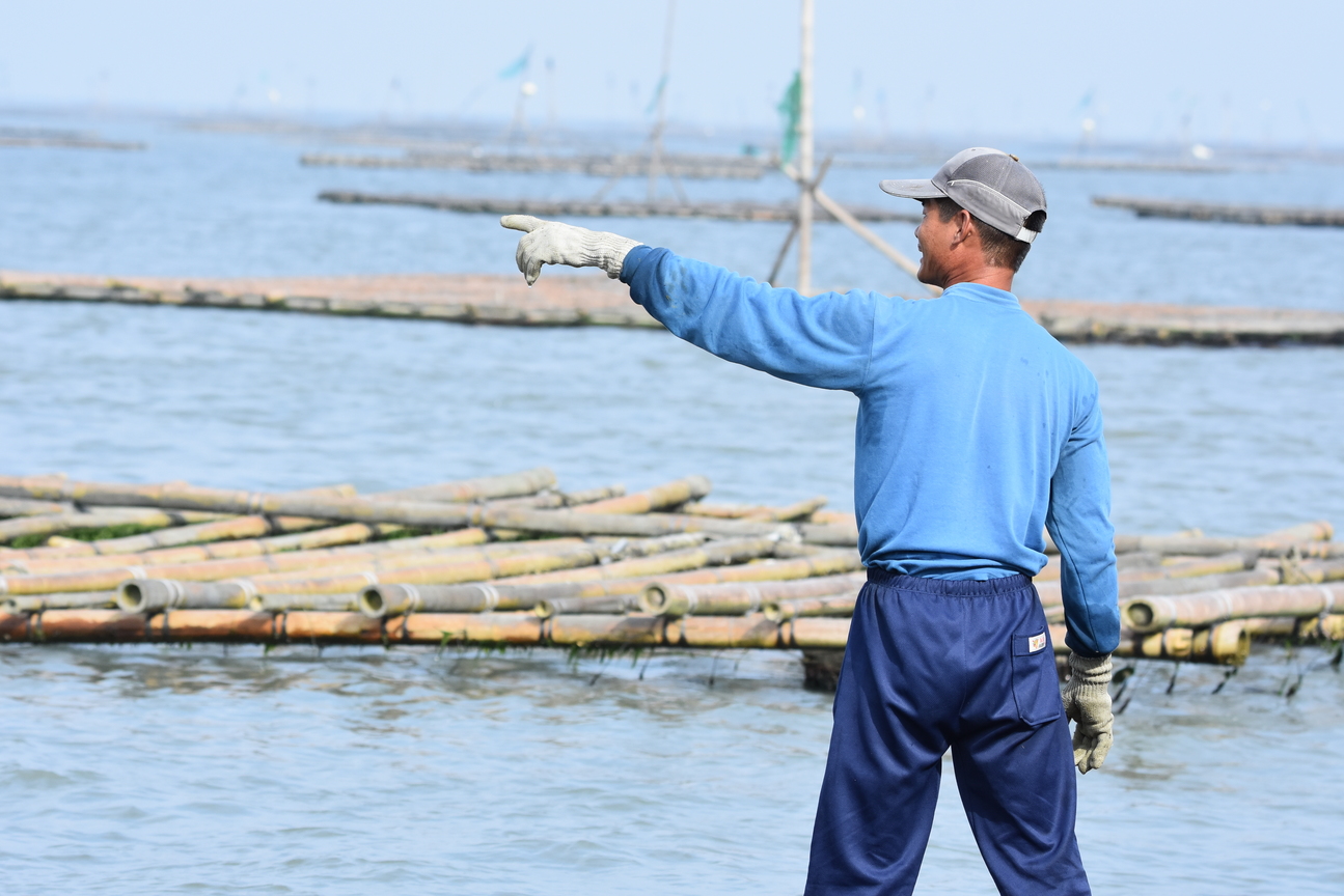 養蚵介紹