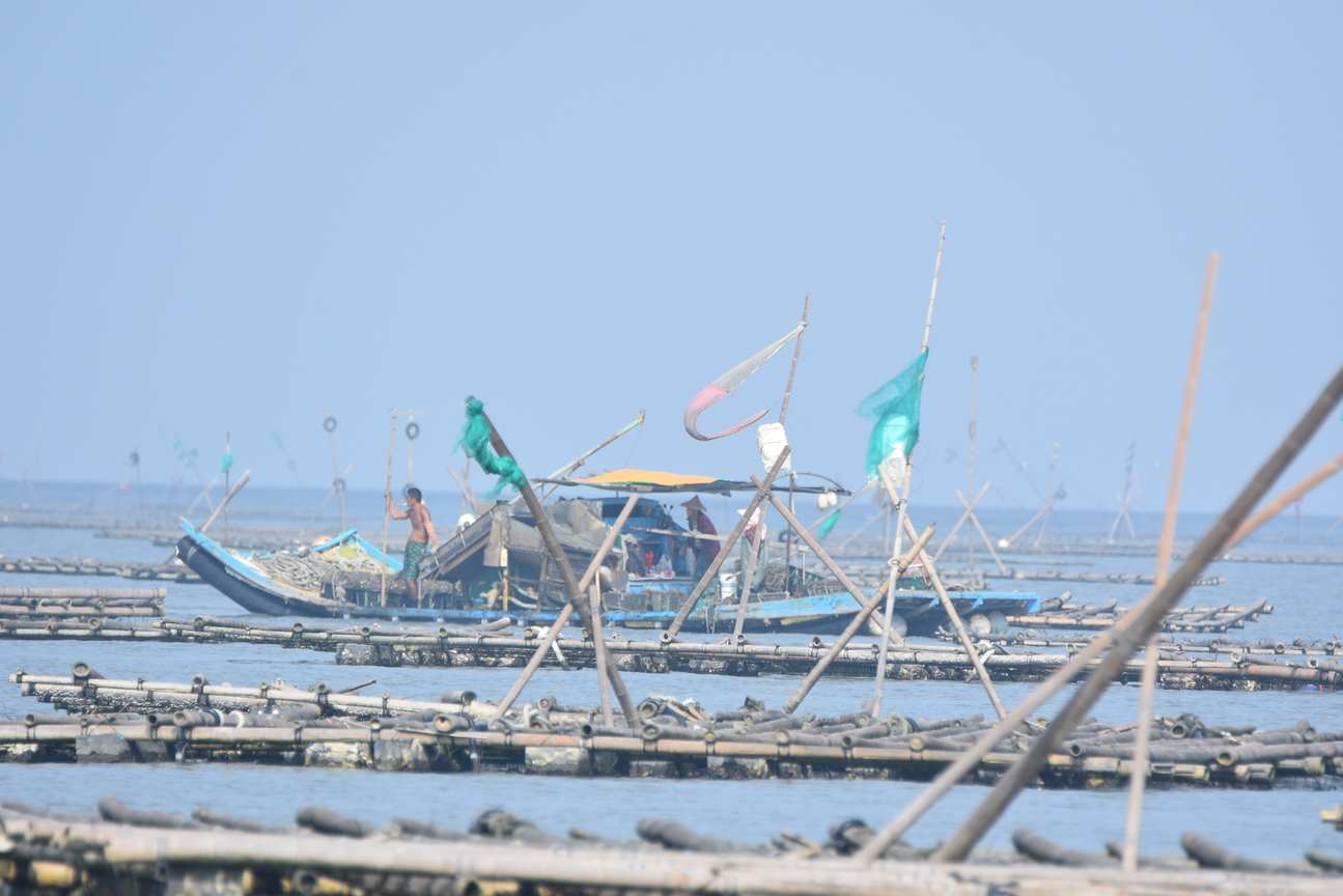 東石國小：六年甲班：柳光耀