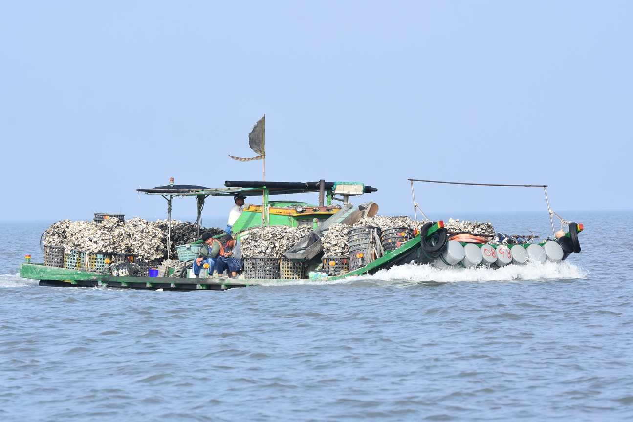 東石國小：六年甲班：王祺君