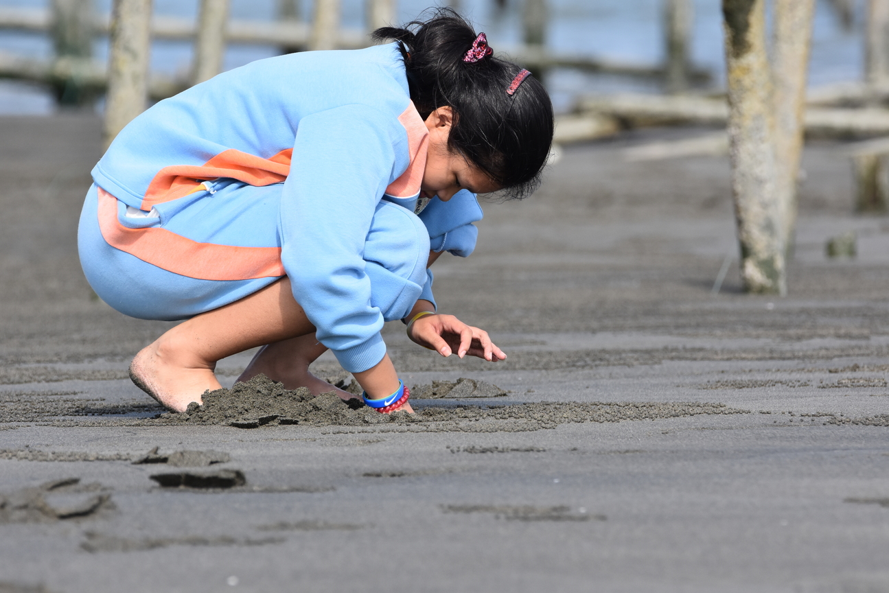 東石國小：六年甲班：吳亞馨