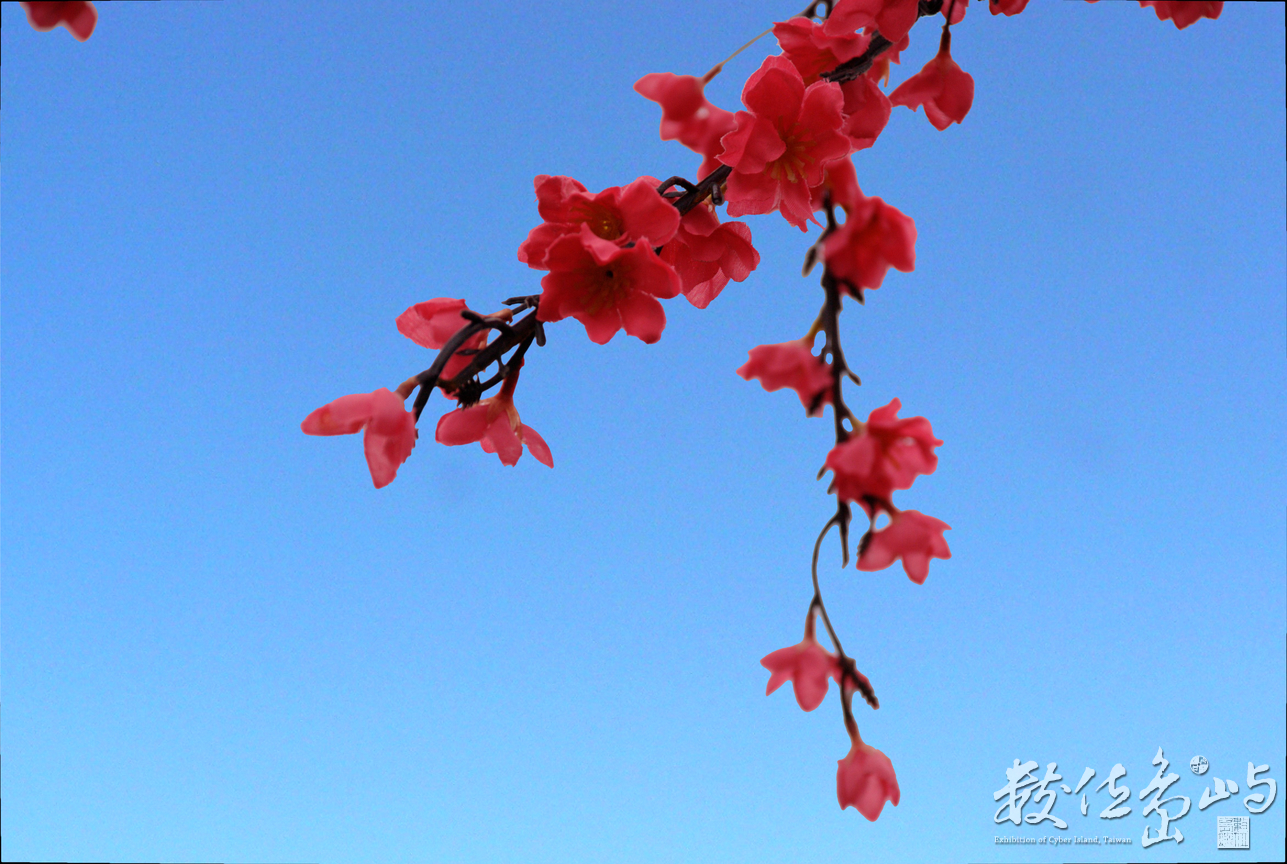 賽德克巴萊＿電影場景＿霧社街1