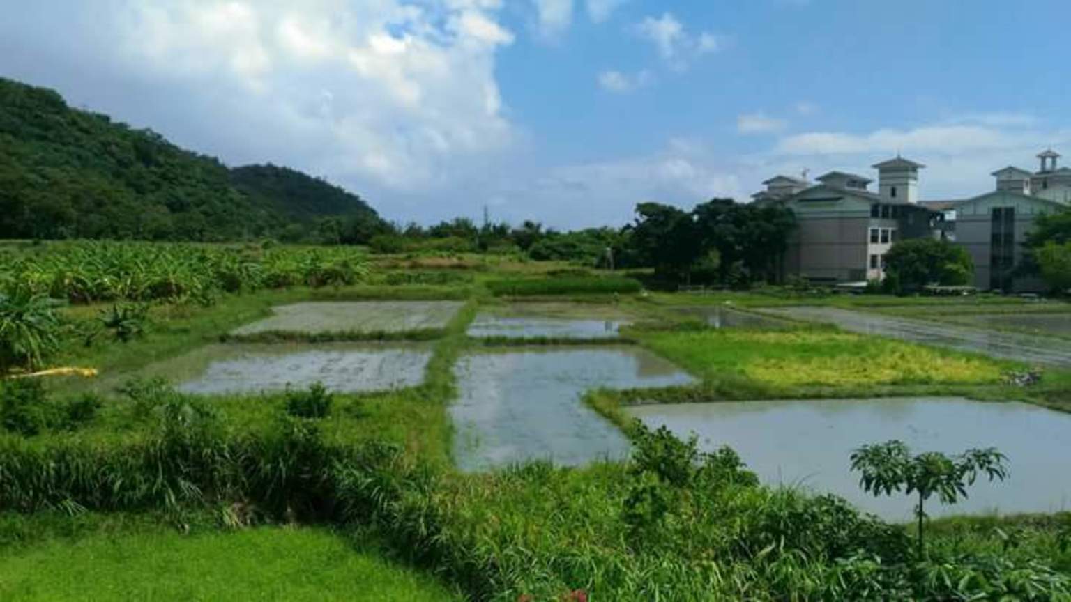 暴風雨前的寧靜