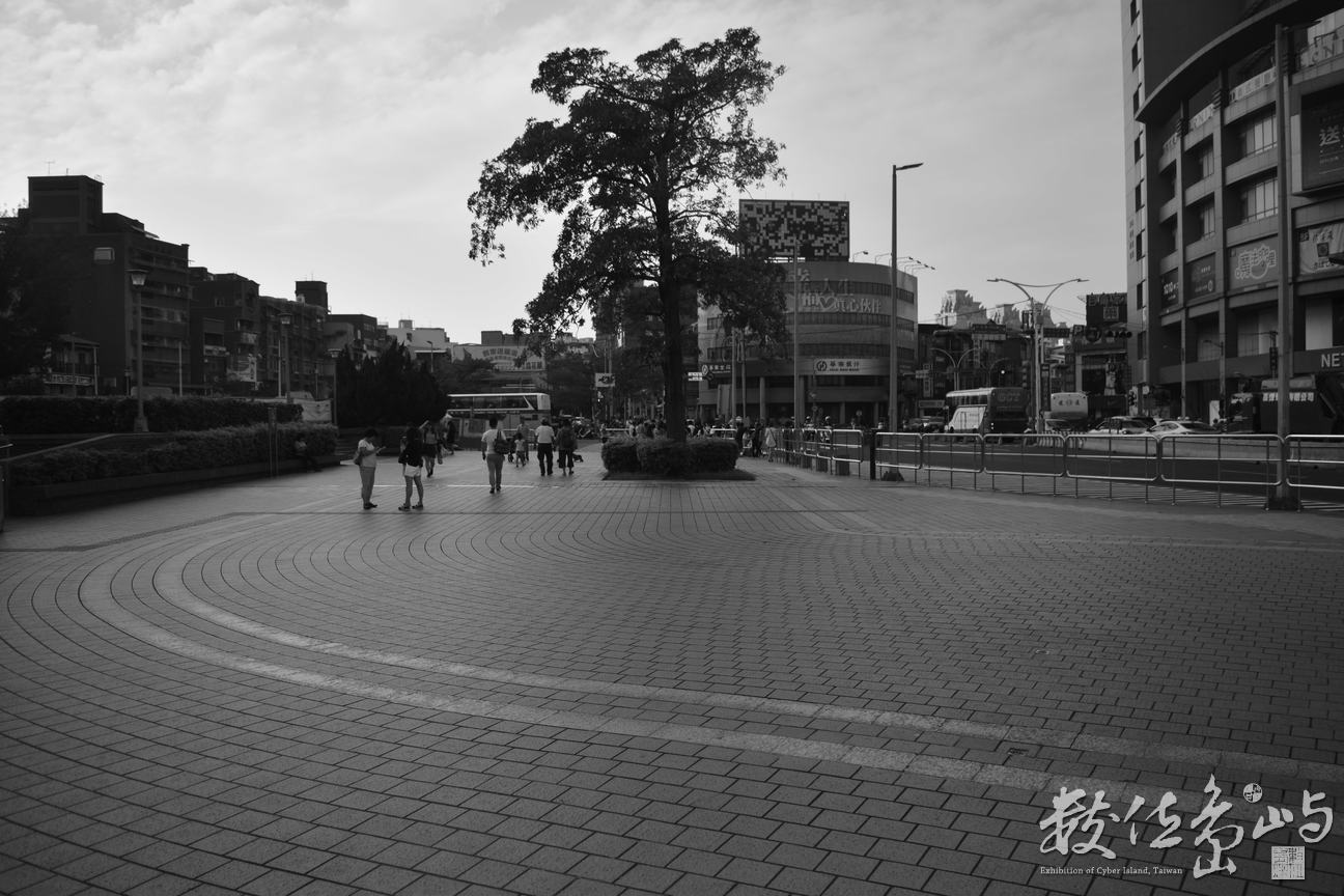 DSC_0501.JPG