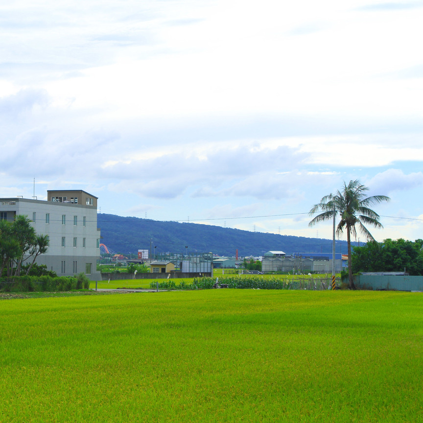 下車拍的風景照
