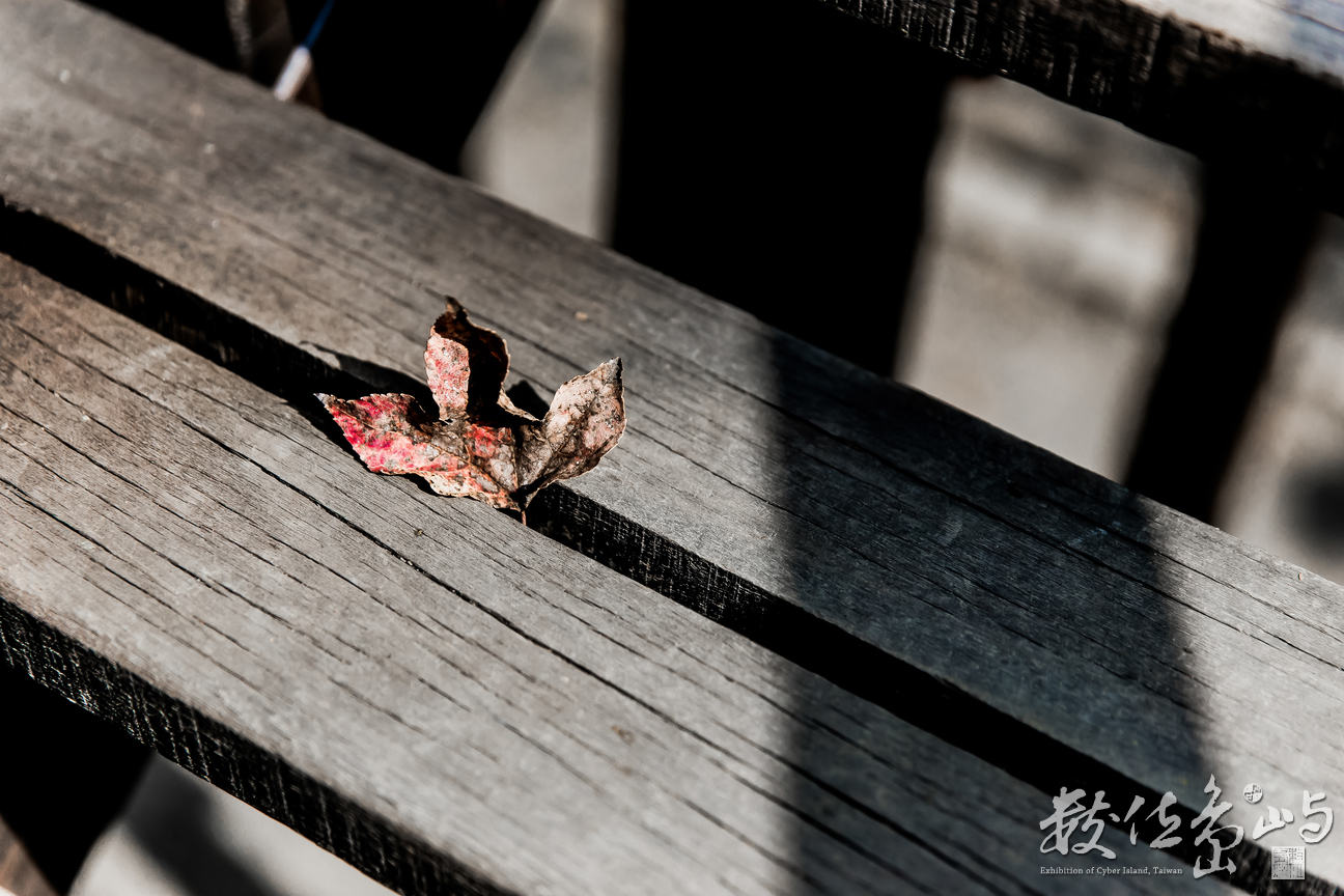 【走過的日子】