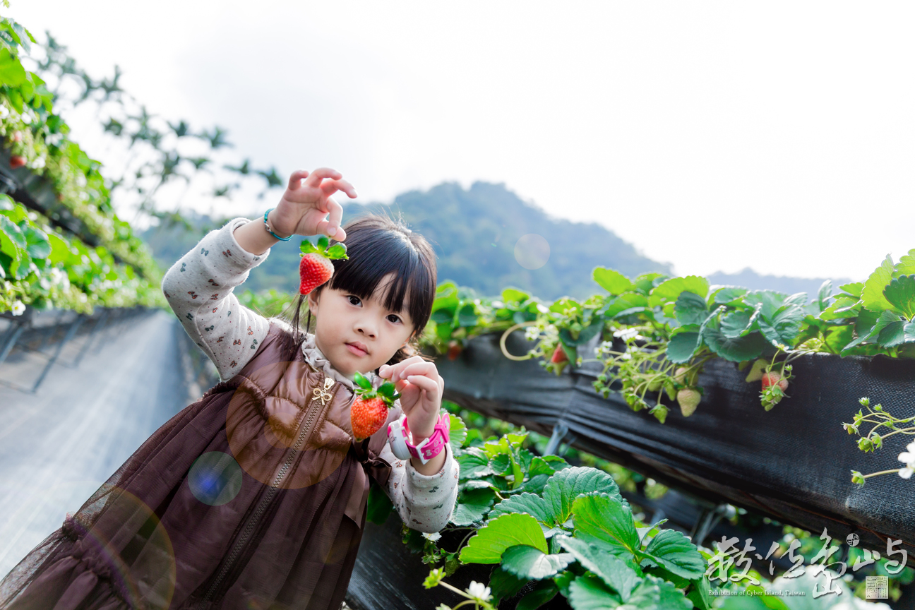 【生命的甜美】