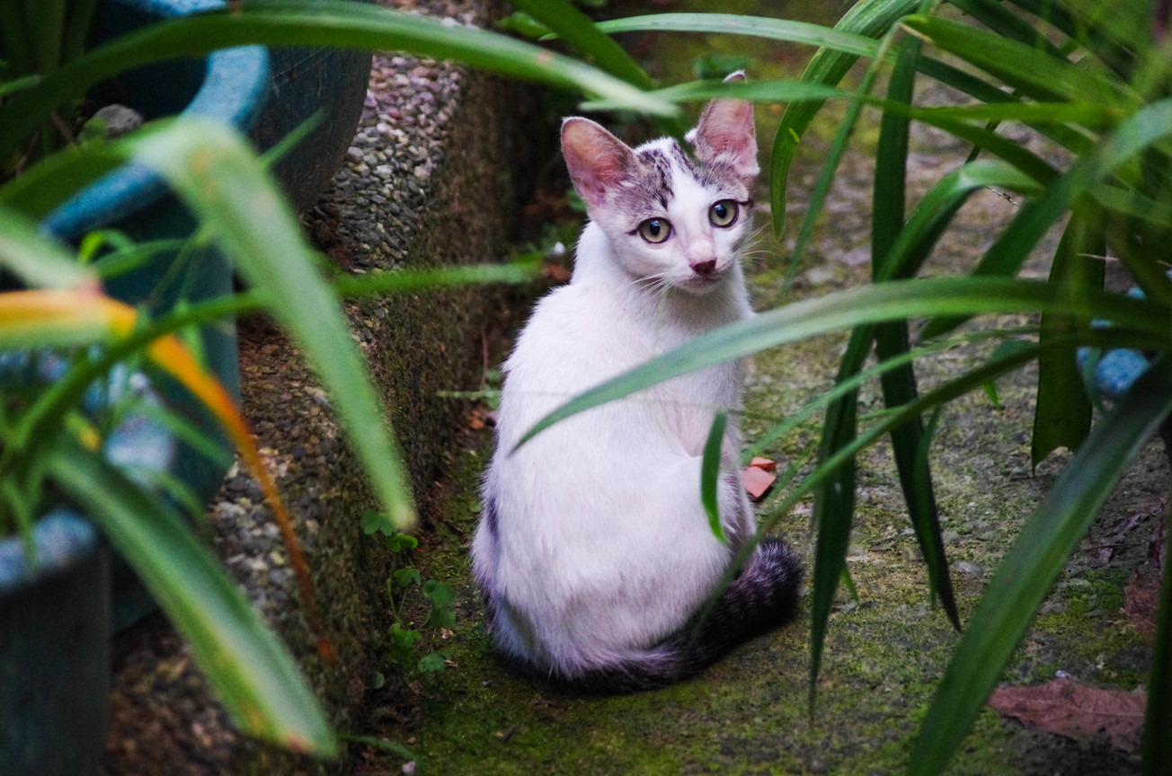 IMGP5796.jpg