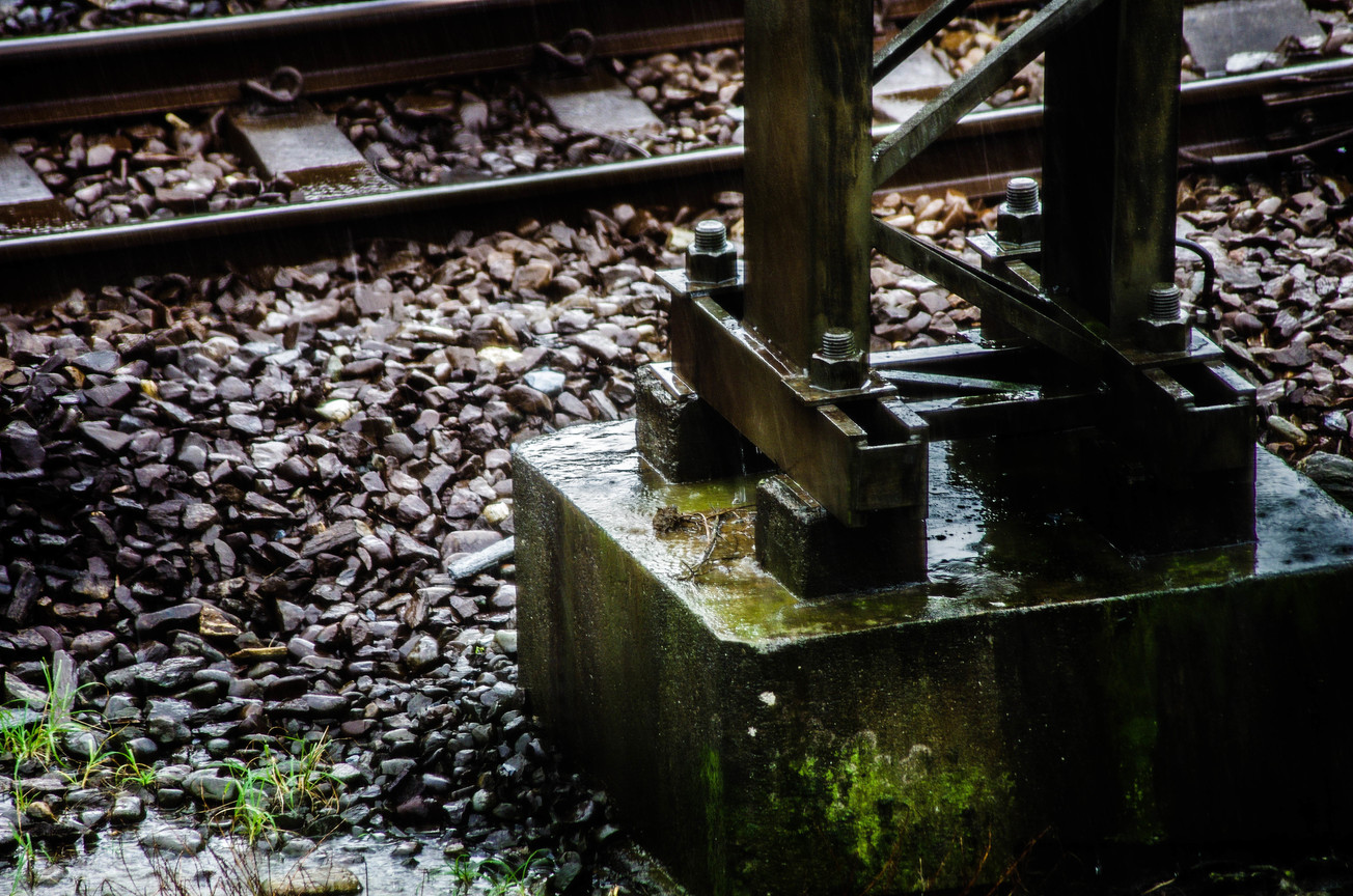 IMGP5684.jpg