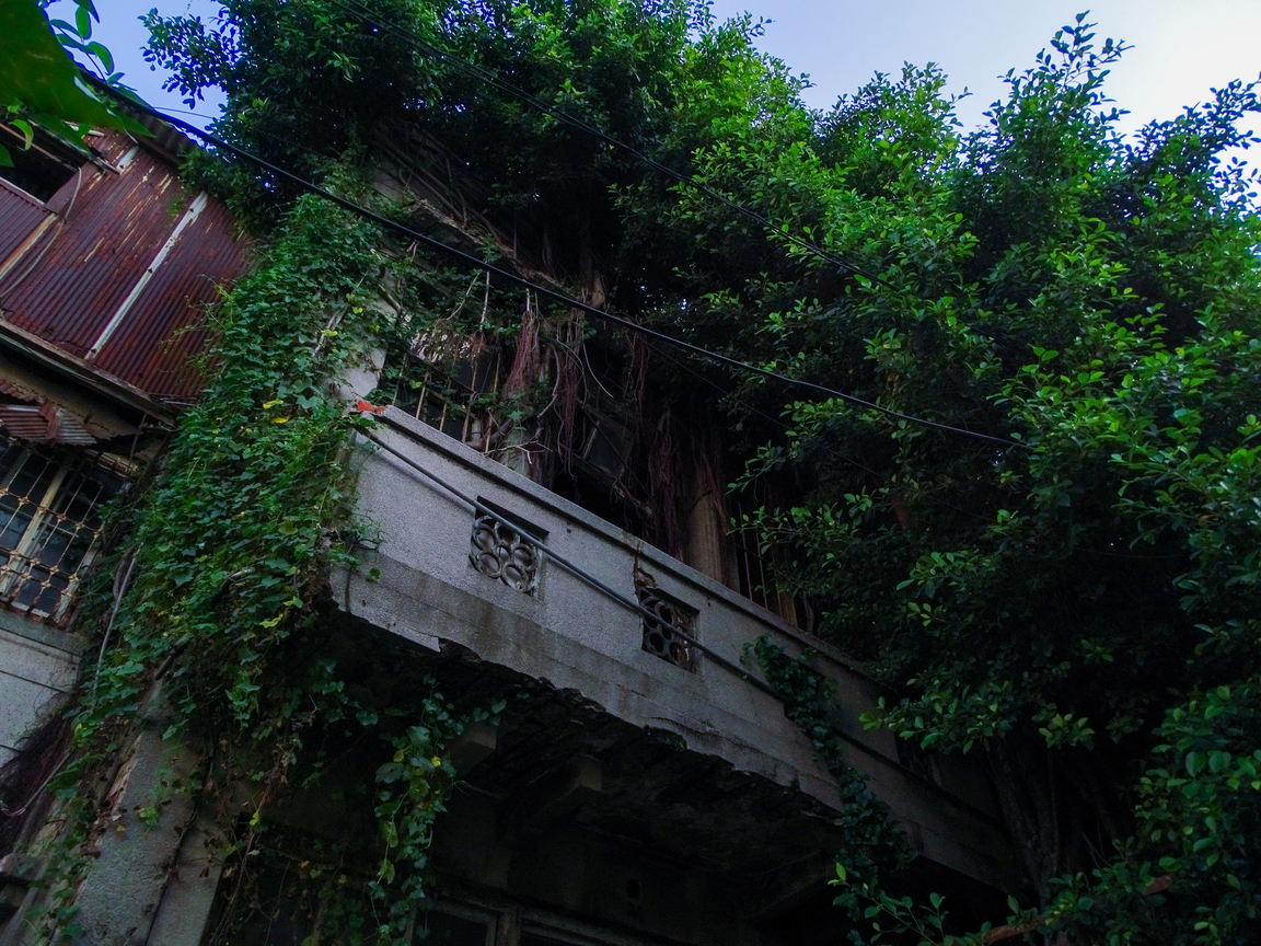 時間洗禮的綠居