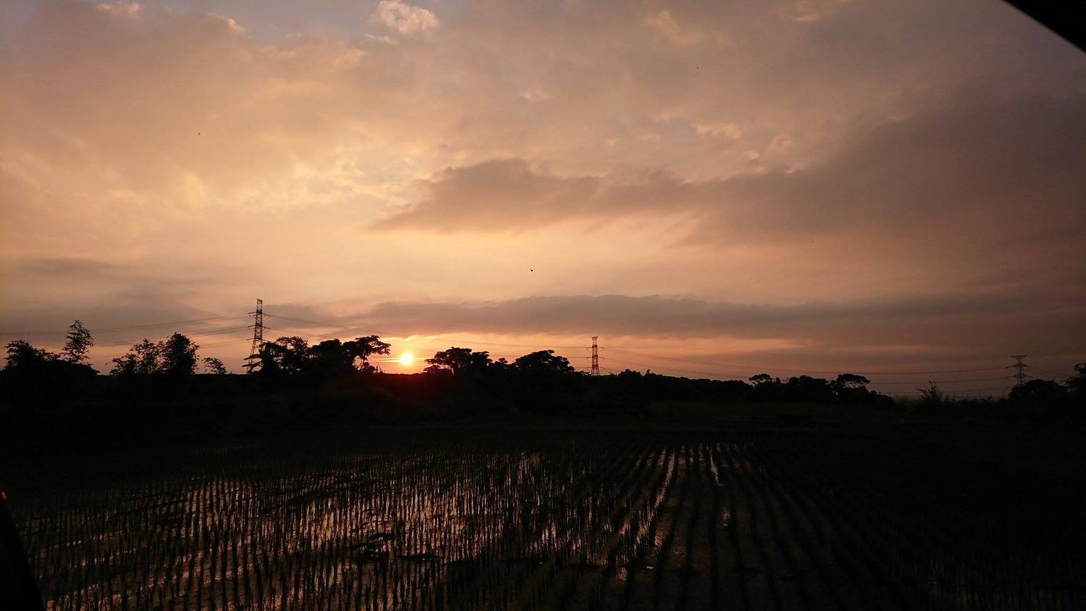 <輝煌>圖、文/彭彭CC│BY-NC-SA