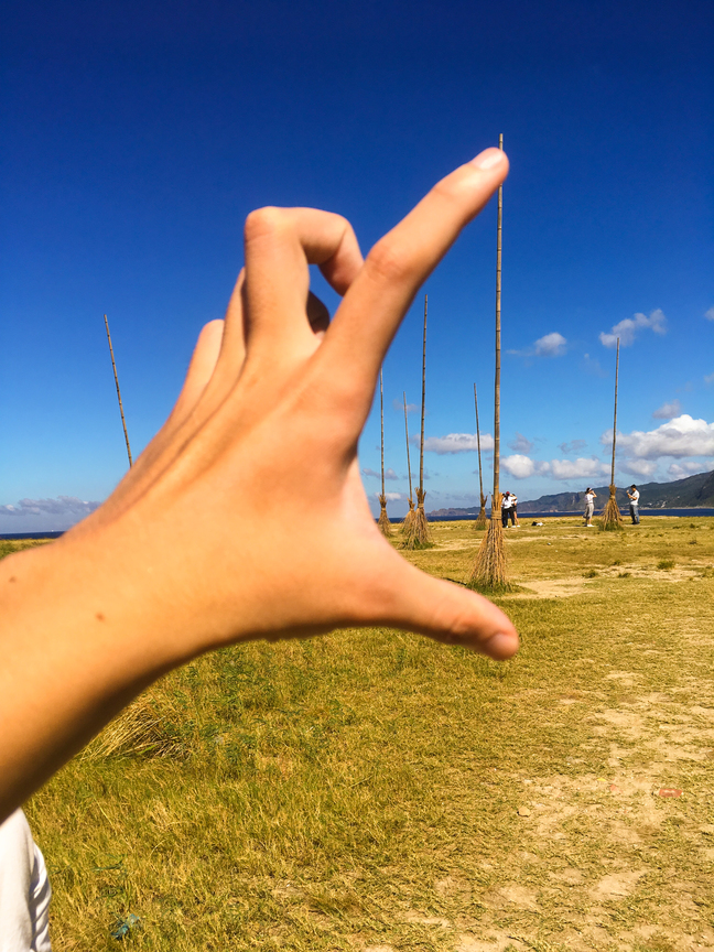 潮境公園-大掃把