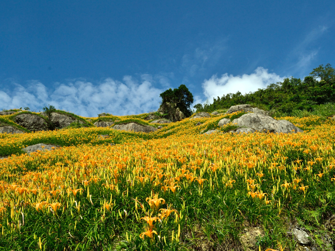 六十石山